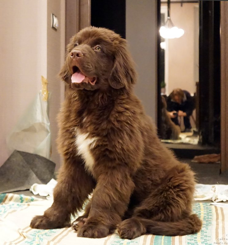 Фотография № 200567