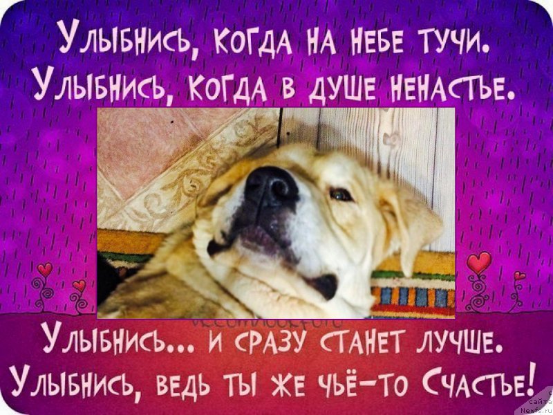 Фотография № 200572