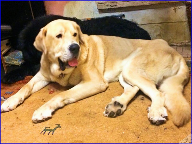 Фотография № 200573