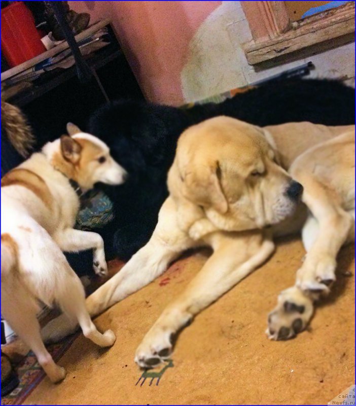 Фото: Лена Зырина