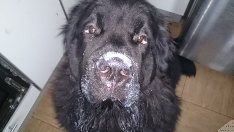 Фото: Наталия Маслова