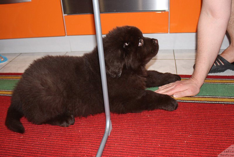 Фотография № 200583