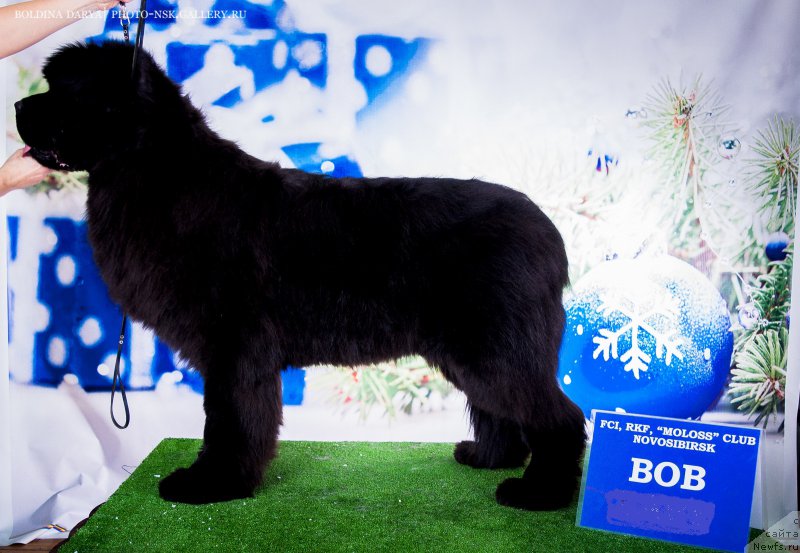 Фотография № 200609