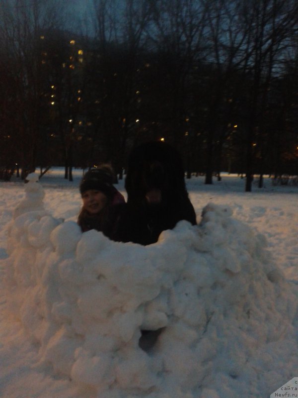 Фотография № 200619