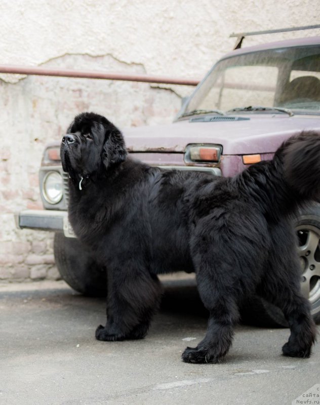 Фотография № 200630