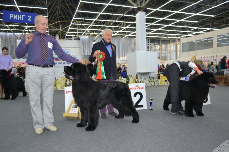 Фотография № 200631