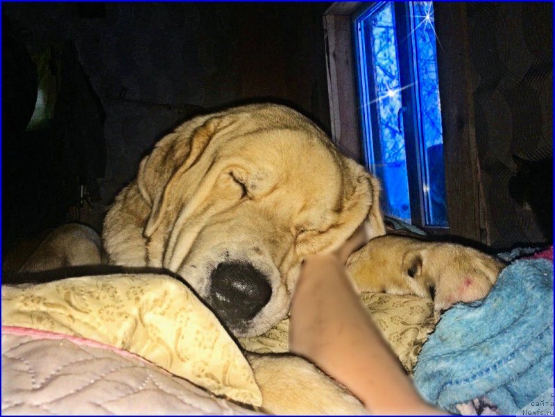 Фото: Лена Зырина