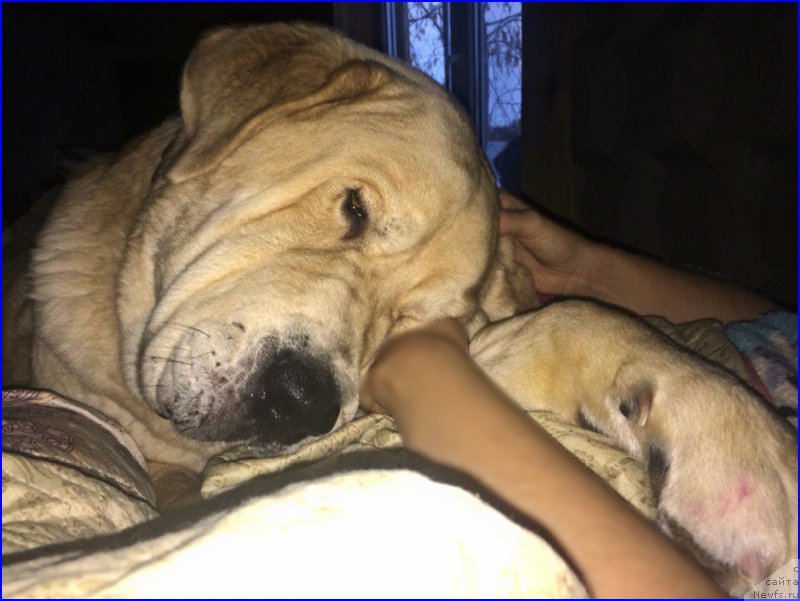 Фото: Лена Зырина