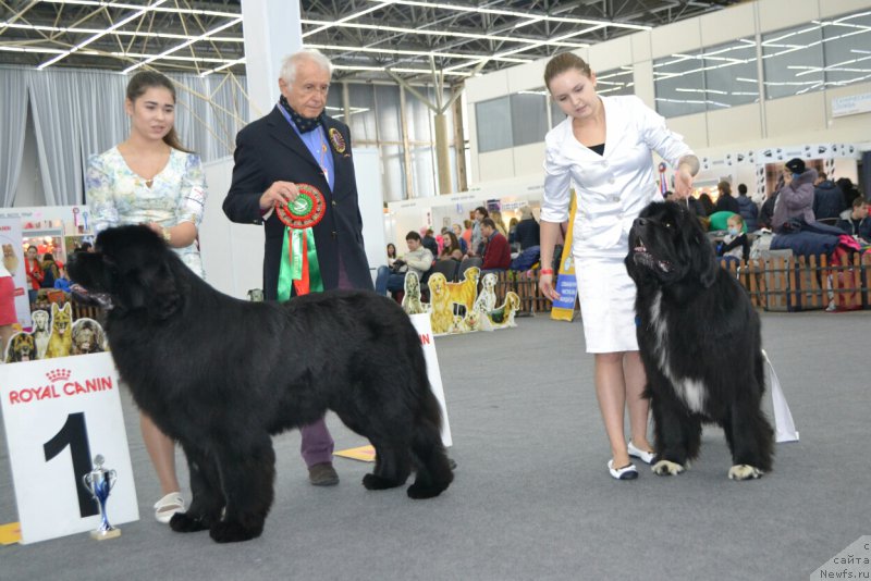 Фотография № 200636