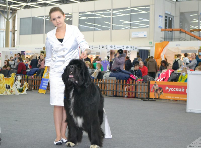 Фотография № 200638