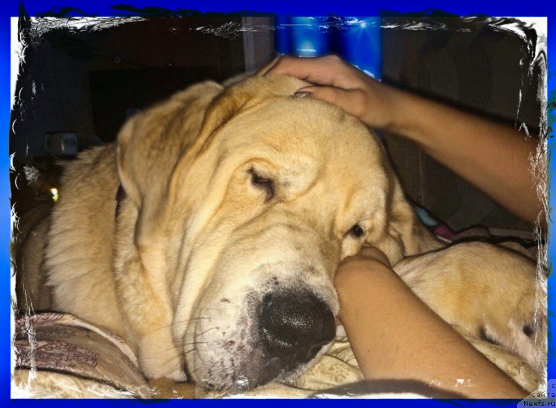 Фото: Лена Зырина