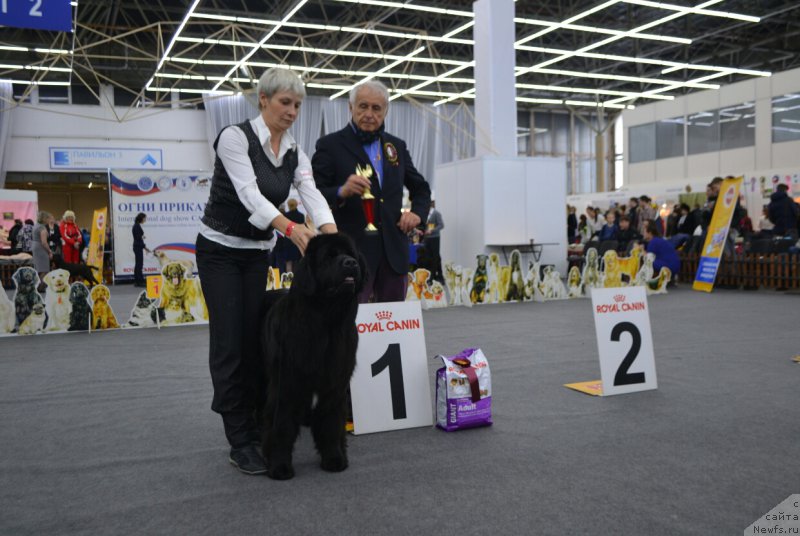 Фотография № 200645