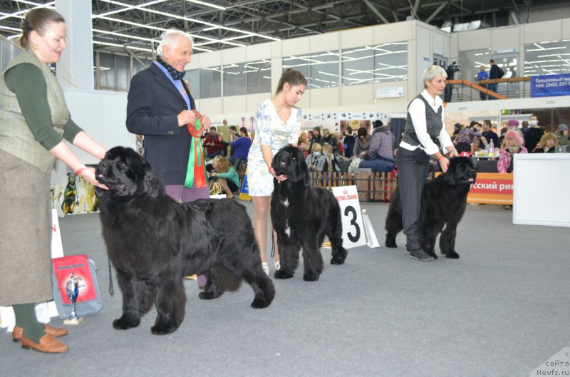 Фотография № 200647