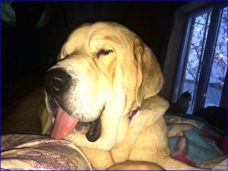 Фото: Лена Зырина