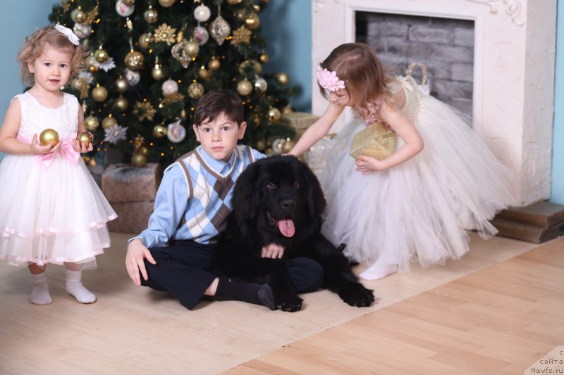 Фотография № 200654