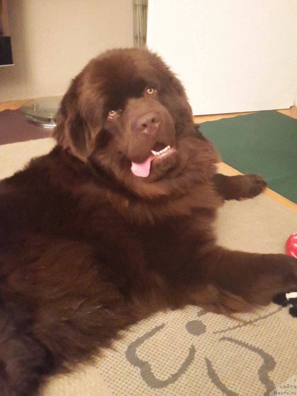 Фотография № 200656