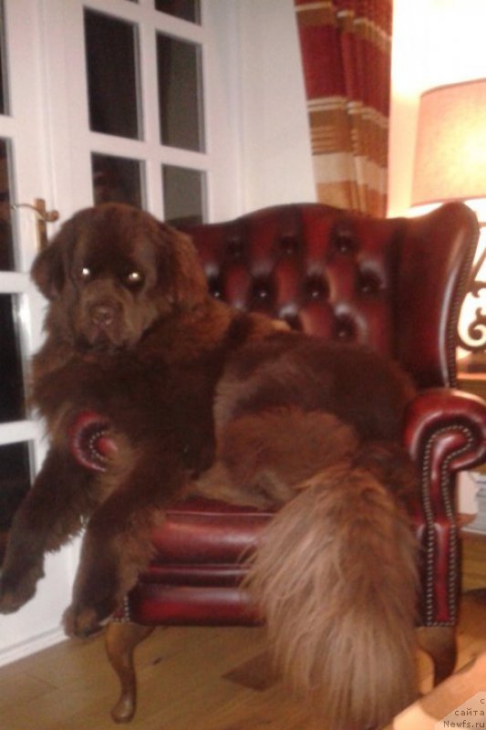 Фотография № 200663