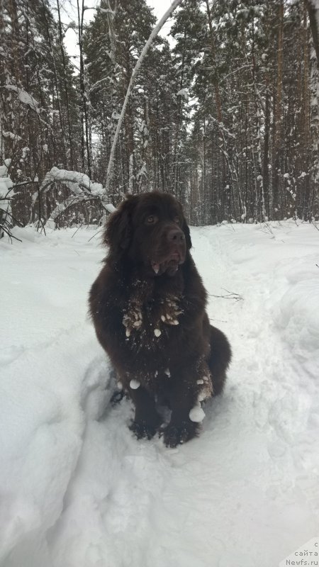 Фотография № 200673