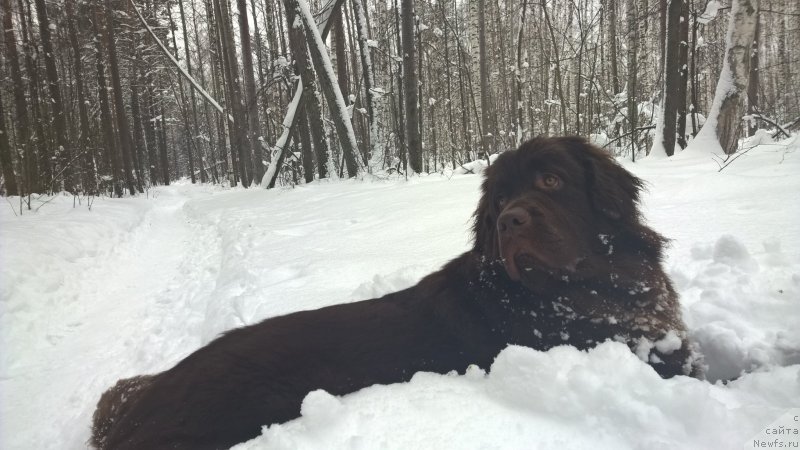 Фотография № 200675