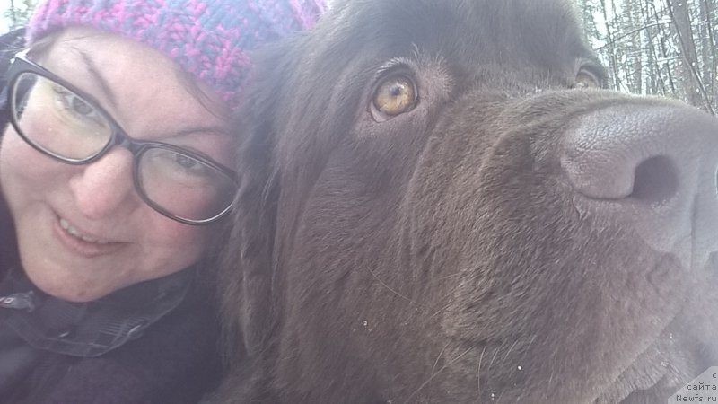 Фото: ньюфаундленд Браунблад МСК Жанара Хайя (Brownblood MSK Zhanara Haya), Ирина Конищева