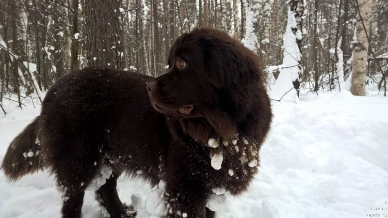 Фотография № 200679