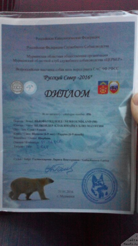 Фотография № 200683