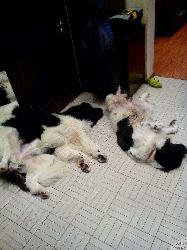 Фотография № 200690