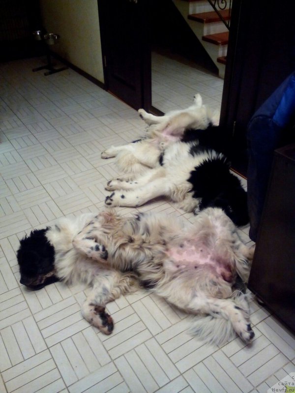 Фотография № 200691