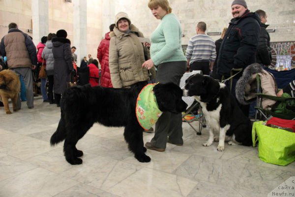 Фотография № 200692