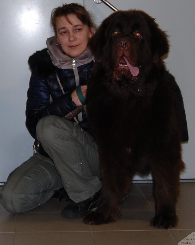 Фотография № 200700