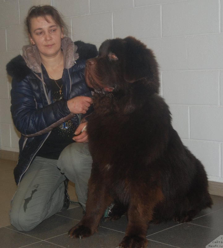 Фотография № 200703