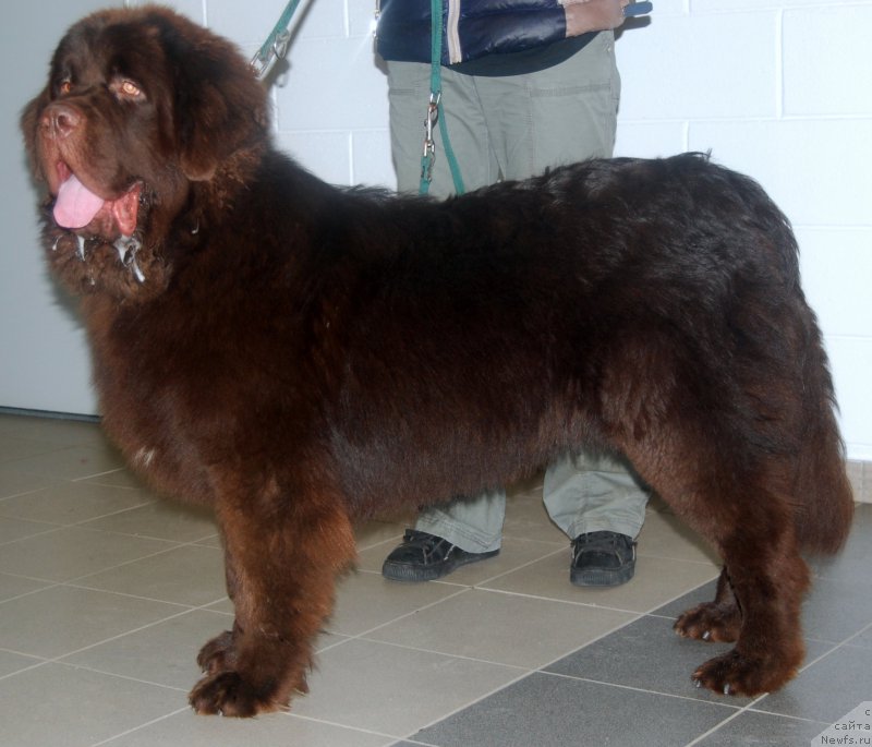 Фотография № 200704