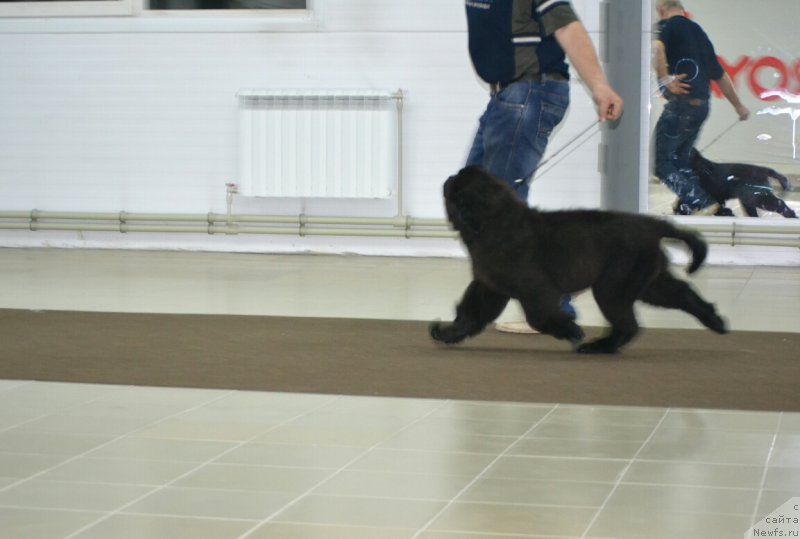 Фотография № 200706