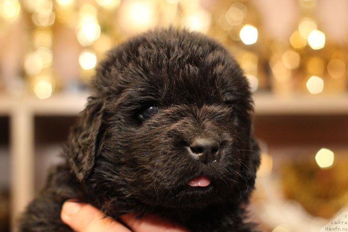 Фотография № 200735