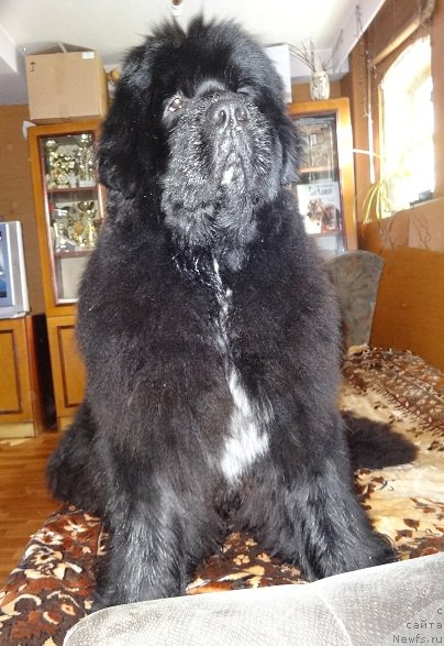 Фотография № 200738