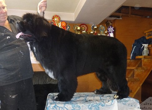 Фотография № 200740