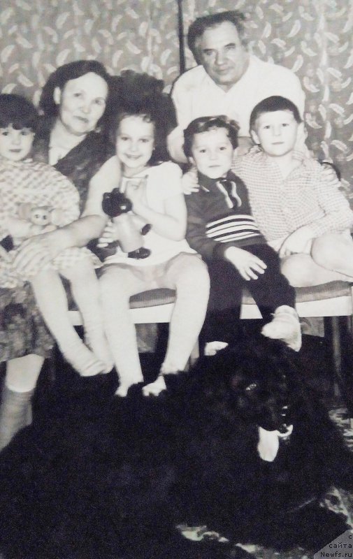 Фото: ньюфаундленд Алина