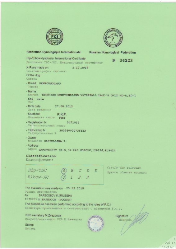 Фото: ньюфаундленд Thickish Newfoundland Waterfall Land's Only