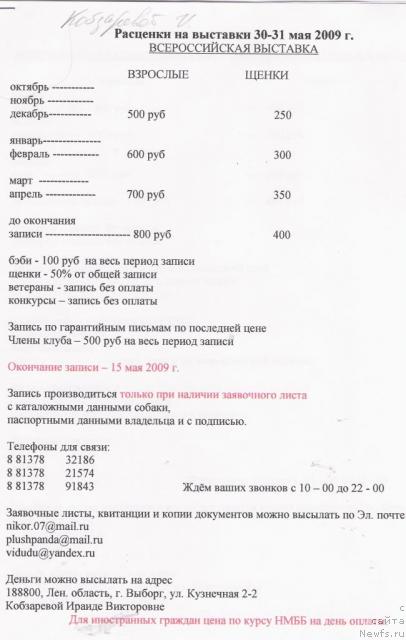 Фотография № 20081