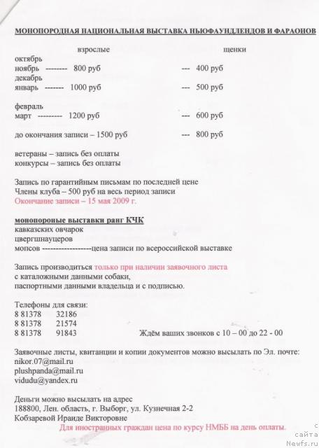 Фотография № 20082