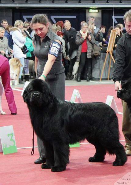 Фото: Виктор Хрищанович, Наталья Дубовская