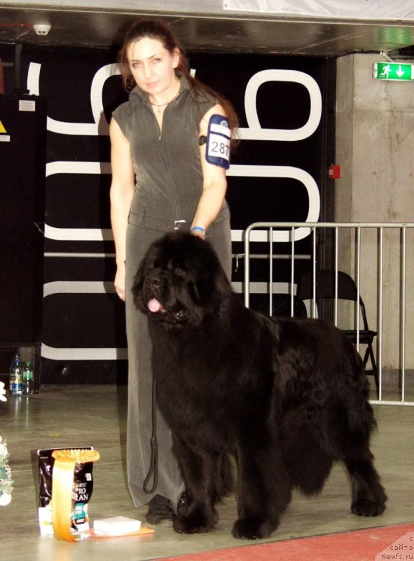 Фото: Виктор Хрищанович, Наталья Дубовская