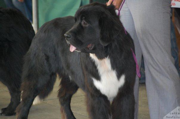 Фотография № 20085