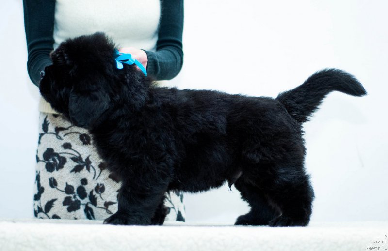 Фотография № 200884