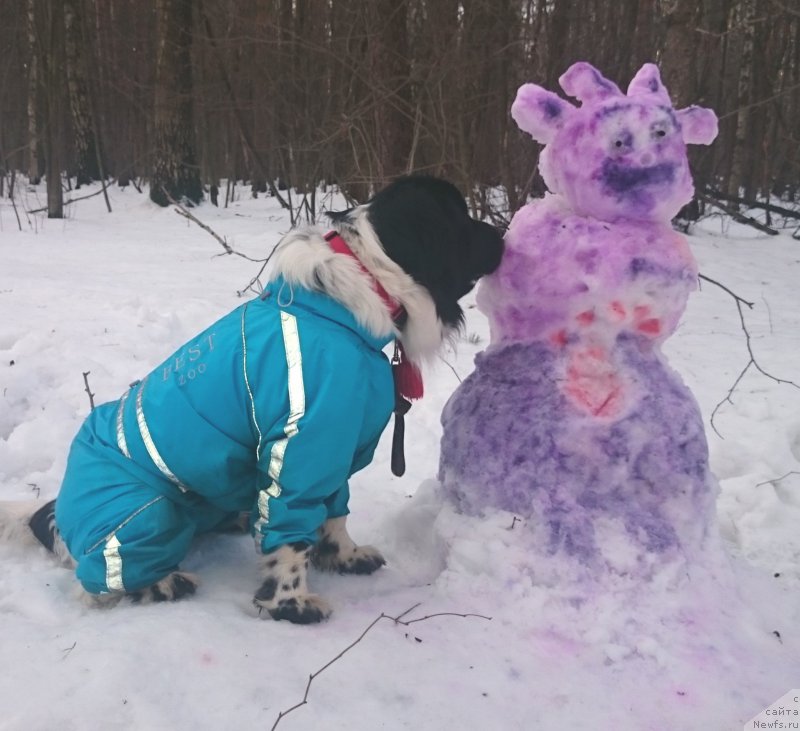 Фотография № 200894