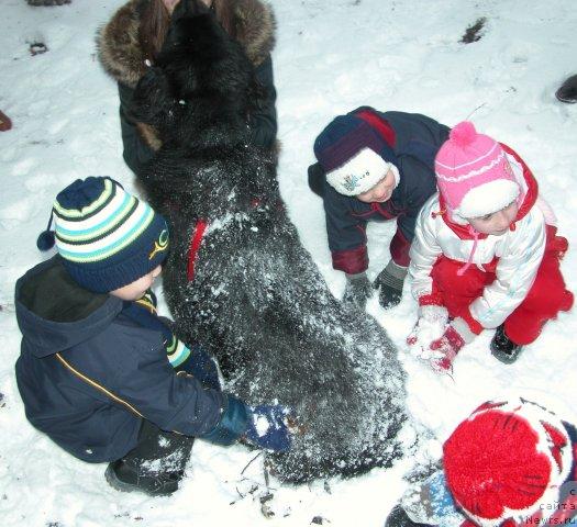 Фотография № 20092