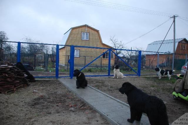 Фотография № 20093