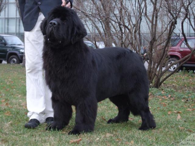 Фотография № 20094