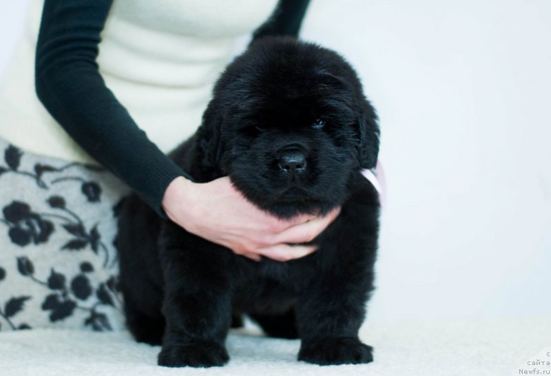 Фотография № 200941