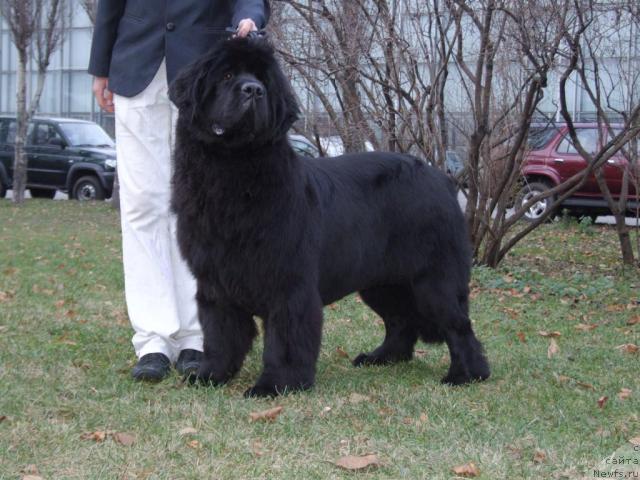 Фотография № 20095